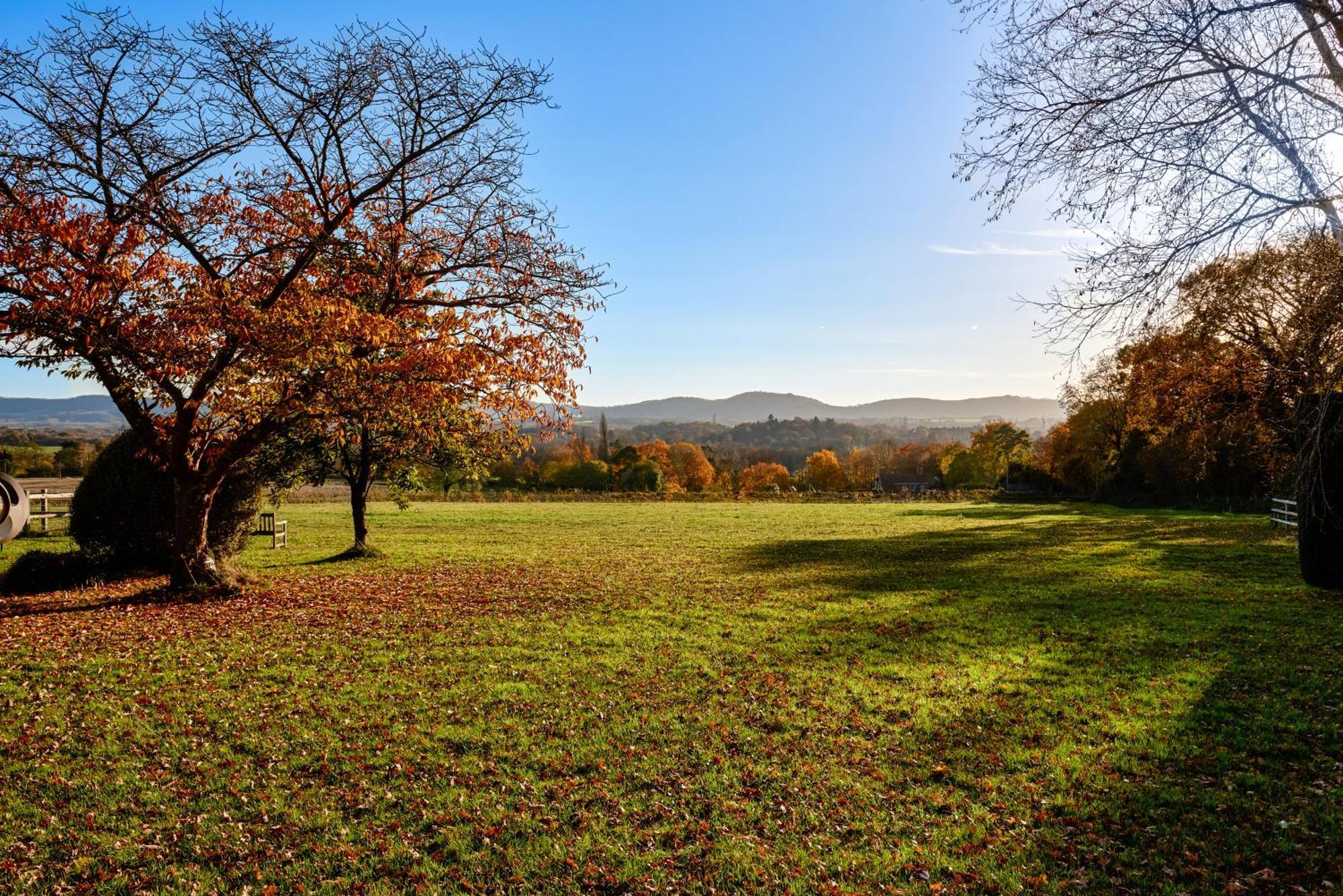 Garden Flat Near Goodwood With Stunning Views Apartment ปีเตอร์สฟิลด์ ภายนอก รูปภาพ
