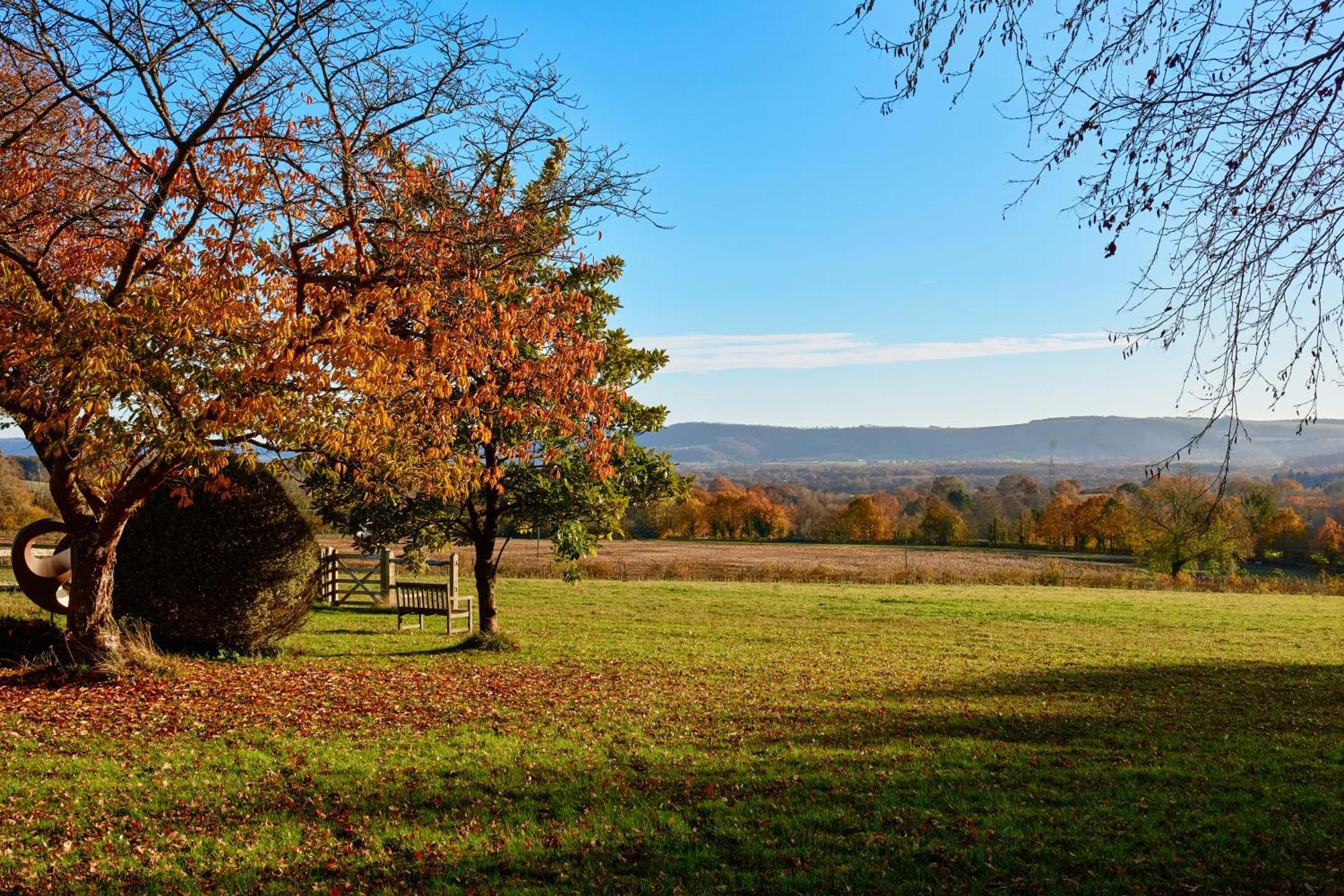 Garden Flat Near Goodwood With Stunning Views Apartment ปีเตอร์สฟิลด์ ภายนอก รูปภาพ
